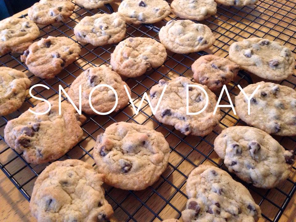 10410152_10203620736108028_4858508765681972284_n